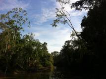 Amazonie, Reserve Pacaya Samiria